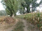 Terreno T0, Braga Maximinos, Sé e Cividade, Braga | BPI...