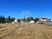 Terreno T0, Brogueira, Parceiros de Igreja e Alcorochel,...