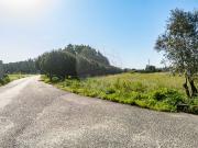 Terreno T0, Cadima, Cantanhede | BPI Expresso Imobiliário