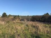 Terreno T0, Caldas Da Rainha Nossa Senhora Do Pópulo,...