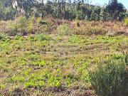 Terreno T0, Campelos e Outeiro Da Cabeça, Torres Vedras...