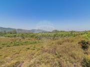 Terreno T0, Campo e Sobrado, Valongo | BPI Expresso...