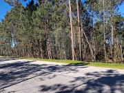 Terreno T0, Carvalhal Redondo e Aguieira, Nelas | BPI...