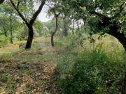 Terreno T0, Casais e Alviobeira, Tomar | BPI Expresso...