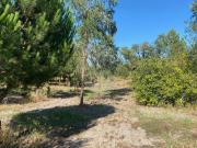 Terreno T0, São José Da Lamorosa, Coruche | BPI Expresso...