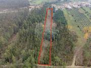 Terreno T0, Covões e Camarneira, Cantanhede | BPI...