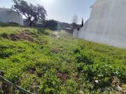 Terreno T0, Escalos de Cima e Lousa, Castelo Branco |...