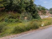 Terreno T0, Este São Pedro e São Mamede, Braga | BPI...