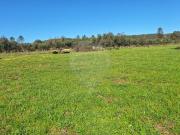 Terreno T0, Freixial e Juncal Do Campo, Castelo Branco |...
