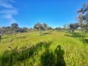 Terreno T0, Freixial e Juncal Do Campo, Castelo Branco |...