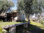 Terreno T0, Fundão, Valverde, Donas, Aldeia de Joanes e...