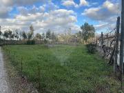 Terreno T0, Grijó e Sermonde, Vila Nova de Gaia | BPI...