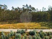 Terreno T0, Guia, Ilha e Mata Mourisca, Pombal | BPI...