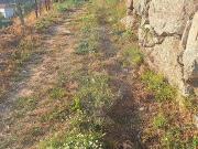 Terreno T0, Insalde e Porreiras, Paredes de Coura | BPI...