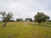 Terreno T0, Lardosa, Castelo Branco | BPI Expresso...