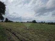 Terreno T0, Lardosa, Castelo Branco | BPI Expresso...