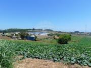 Terreno T0, Lourinhã e Atalaia, Lourinhã | BPI Expresso...