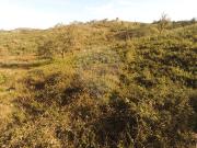 Terreno T0, Luzianes Gare, Odemira | BPI Expresso...