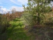 Terreno T0, Maçainhas, Guarda | BPI Expresso Imobiliário