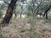 Terreno T0, Maçãs de Dona Maria, Alvaiázere | BPI...