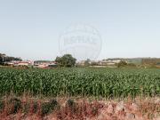 Terreno T0, Macieira Da Maia, Vila do Conde | BPI...