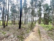 Terreno T0, Margaride Santa Eulália, Várzea, Lagares,...