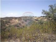 Terreno T0, Martim Longo, Alcoutim | BPI Expresso...