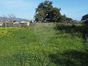 Terreno T0, Moncarapacho e Fuseta, Olhão | BPI Expresso...