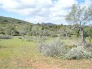 Terreno T0, Moncarapacho e Fuseta, Olhão | BPI Expresso...