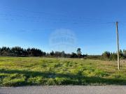 Terreno T0, Monte Real e Carvide, Leiria | BPI Expresso...