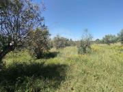 Terreno T0, Mouriscas, Abrantes | BPI Expresso Imobiliário