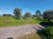 Terreno T0, Mouriscas, Abrantes | BPI Expresso Imobiliário