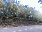 Terreno T0, Oleiros, Ponte da Barca | BPI Expresso...