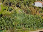 Terreno T0, Oliveira Do Hospital e São Paio de Gramaços,...