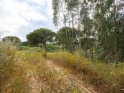 Terreno T0, Ota, Alenquer | BPI Expresso Imobiliário