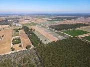 Terreno T0, Pegões, Montijo | BPI Expresso Imobiliário