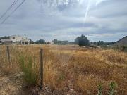 Terreno T0, Peva e Segões, Moimenta da Beira | BPI...