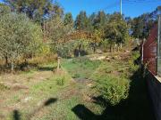 Terreno T0, Pombal, Pombal | BPI Expresso Imobiliário