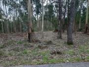 Terreno T0, Pombal, Pombal | BPI Expresso Imobiliário