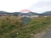 Terreno T0, Porto de Mós São João Baptista e São Pedro,...