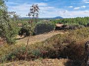 Terreno T0, Proença A Velha, Idanha a Nova | BPI...