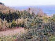 Terreno T0, Remédios, Ponta Delgada | BPI Expresso...