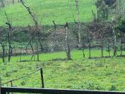 Terreno T0, Rendufinho, Póvoa de Lanhoso | BPI Expresso...