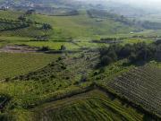 Terreno T0, Ribafria e Pereiro de Palhacana, Alenquer |...