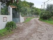 Terreno T0, S.Maria e S.Miguel, S.Martinho, S.Pedro...