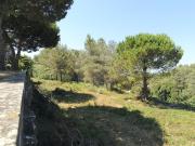 Terreno T0, S.Maria e S.Miguel, S.Martinho, S.Pedro...