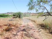 Terreno T0, São Bartolomeu de Messines, Silves | BPI...