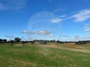 Terreno T0, São Domingos e Vale de Água, Santiago do...
