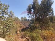 Terreno T0, São Facundo e Vale de Mós, Abrantes | BPI...