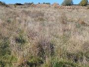 Terreno T0, São João Das Lampas e Terrugem, Sintra | BPI...